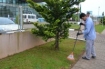 Colaboradores do Hospital Regional desenvolvem atividades de conscientização sobre o Aedes Aegypti