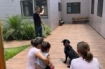 Comissão de humanização do HRTGB – Santé inicia atividades com cão terapêutico