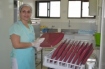 Conheça o setor de Nutrição e Dietética do Hospital Regional Terezinha Gaio Basso