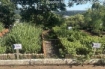 Dia da Árvore: HRTGB reforça ações de educação ambiental e sustentabilidade