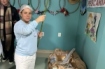 Dia de São João e tem Arraiá no Hospitar Regionar