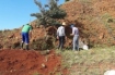 Entorno do Hospital Regional recebe obras de paisagismo