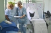 Gincana e apresentação de protocolos de Segurança do Paciente marcam mês da enfermagem no Hospital Regional