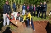 Hospital Regional possui compostagem