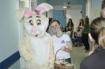 Hospital Regional recebe atividades especiais para celebrar a Páscoa