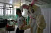 Hospital Regional recebe atividades especiais para celebrar a Páscoa