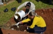 Colaboradores em oficina de compostagem