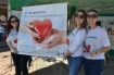 Hospital Regional Terezinha Gaio Basso promove atividade de conscientização sobre doação de órgãos