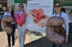 Hospital Regional Terezinha Gaio Basso promove atividade de conscientização sobre doação de órgãos