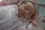 Emily Morais Ghedini