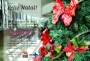 Feliz Natal!